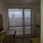 Rent 3 bedroom apartment of 92 m² in Каменица 2