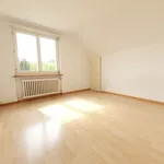 Tolle und grosszügige Dachwohnung an ruhiger Lage