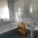 Rent 3 bedroom apartment of 80 m² in Misano Adriatico