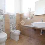 Rent 1 bedroom apartment of 35 m² in Trapani