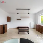 Rent 2 bedroom apartment of 50 m² in Trhový Štěpánov