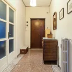 Rent 1 bedroom apartment in Rome