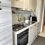 Rent 2 bedroom apartment of 60 m² in Silvi