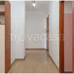 Rent 2 bedroom apartment of 75 m² in Torino