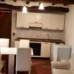 Rent 1 bedroom apartment of 45 m² in Montevarchi