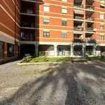 Rent 1 bedroom apartment of 55 m² in Roma