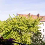 Rent 4 bedroom apartment in Berlin