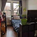 Rent 2 bedroom house in Washington