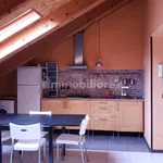 Rent 2 bedroom apartment of 52 m² in Turin