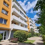 Rent 2 bedroom apartment of 58 m² in Brno