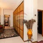 Rent 6 bedroom apartment of 224 m² in Catania