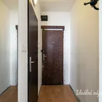 Pronajměte si 2 ložnic/e byt o rozloze 37 m² v Prague