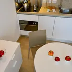 Rent 4 bedroom apartment of 50 m² in Bologna