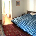 Rent 3 bedroom apartment of 107 m² in Cremona