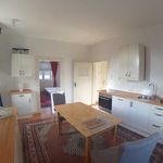 Rent 2 bedroom apartment of 45 m² in Dortmund