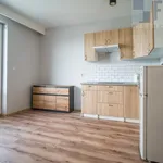 Rent 1 bedroom apartment of 25 m² in Łódź