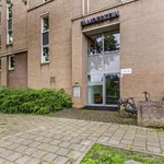 Rent 2 bedroom apartment in Sittard