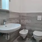 Rent 1 bedroom apartment of 30 m² in Vedano al Lambro