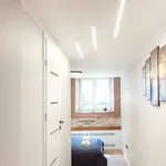 Rent 1 bedroom apartment in vilnius