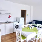 Pronajměte si 1 ložnic/e byt o rozloze 61 m² v Teplice