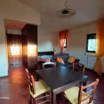 Rent 1 bedroom apartment of 30 m² in Rome