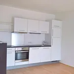 Rent 4 bedroom apartment of 61 m² in Linz