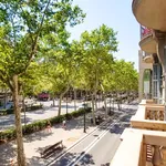 Rent a room of 122 m² in Barcelona