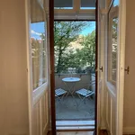 Rent 1 bedroom apartment of 48 m² in Berlin