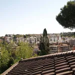 Rent 1 bedroom house of 25 m² in Rome