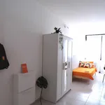 Rent 9 bedroom apartment in Trento