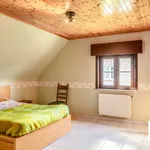 Rent 4 bedroom house in Berlare