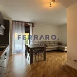 Rent 1 bedroom apartment of 70 m² in Treviso