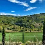 Single family villa Località Le Corti, Greve in Chianti