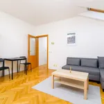 Rent 1 bedroom apartment in Prague