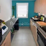 Rent 4 bedroom apartment of 75 m² in Novara