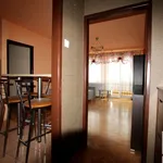 Rent 1 bedroom apartment of 28 m² in Radom