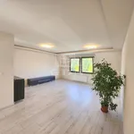 Rent 4 bedroom apartment of 122 m² in Budapest