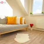 Rent 1 bedroom apartment of 19 m² in Brno-Kohoutovice