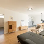 Rent 1 bedroom house of 111 m² in Capital City of Prague