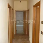 Rent 3 bedroom house of 224 m² in Calderara di Reno