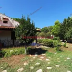 Rent 3 bedroom house of 67 m² in Pollina