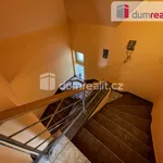 Rent 1 bedroom apartment of 98 m² in Prague