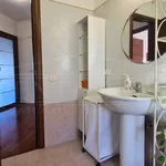 Rent 3 bedroom apartment of 90 m² in Roma