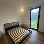 Rent 2 bedroom apartment of 60 m² in Sesto Calende