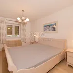 Rent 1 bedroom house of 170 m² in Město Touškov