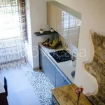 Rent 1 bedroom apartment of 38 m² in Firenze