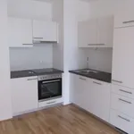 Rent 2 bedroom apartment of 36 m² in Vienna