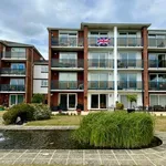 Rent 3 bedroom apartment in South East England