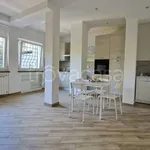 Rent 3 bedroom apartment of 89 m² in Frascati