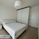 Rent 2 bedroom apartment of 60 m² in Turin